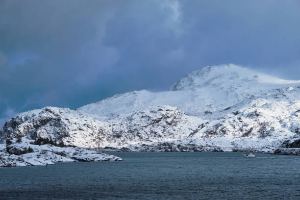istock Norwegian fjord in winter 1135590650