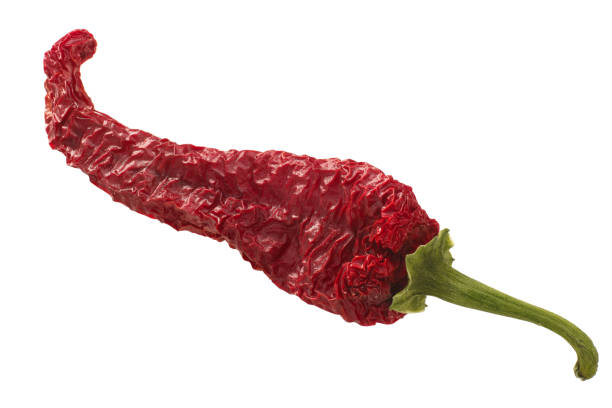 istock Dried kashmiri mirch pepper pod 1135592135