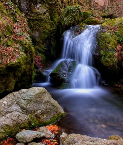 istock Vertical waterfall with rocks and leaves 1135592181