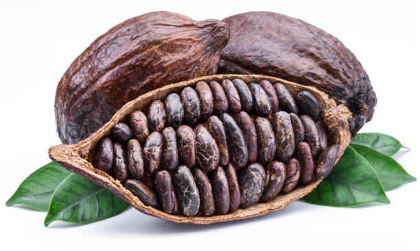 istock Cocoa pods and cocoa beans. 1135592601