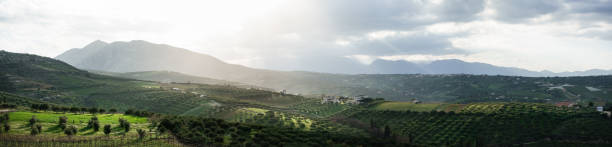 istock Green Fields Crete Greece Europe 1135592677
