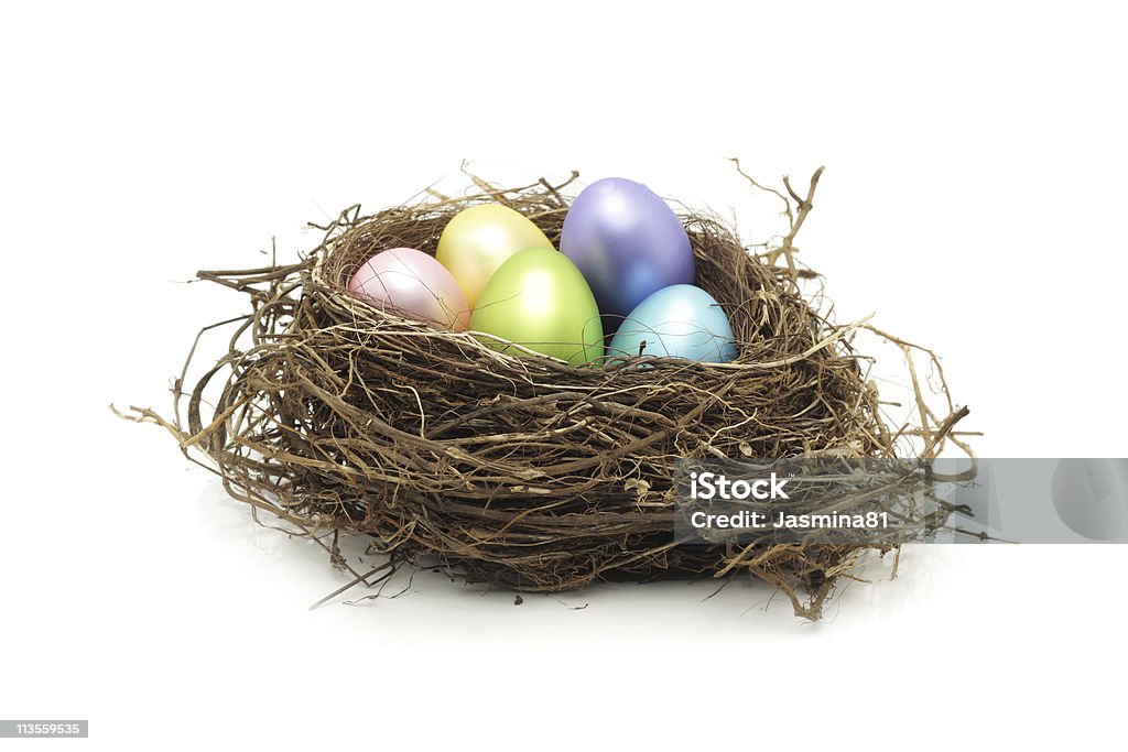 Easter Eggs In Real Bird Nest Stock Photo - Download Image Now - Animal,  Animal Nest, Bird's Nest - iStock