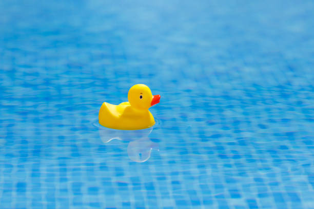 istock yellow rubber duck in blue swimming pool 1135595439