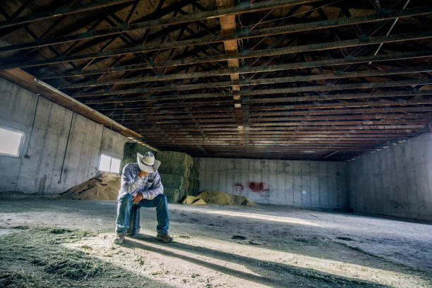 istock Inside a barn, a desperate looking cowboy is sitting all by himself on a bucket with his head down. 1135596401