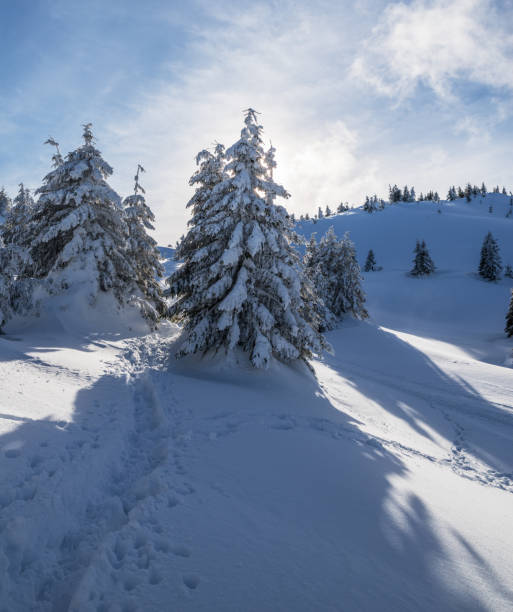 istock Beautiful winter landscape. 1135597704