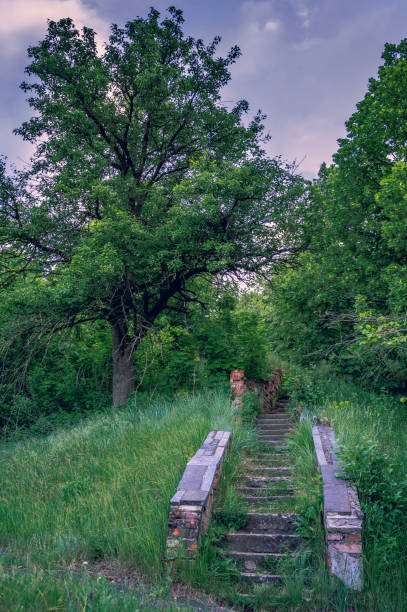 Just a photo of a morning nature in a small country town in summer time