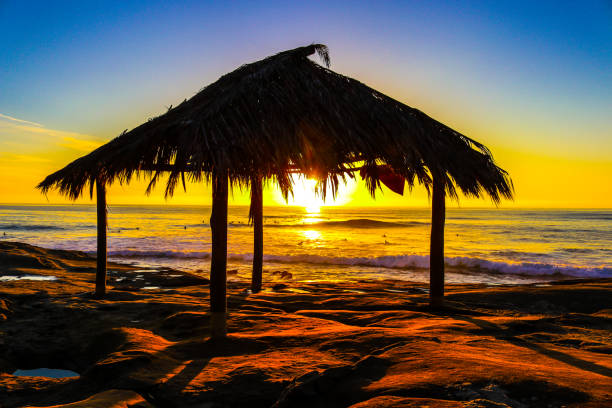 Tropical Sunset At The Beach stock photo