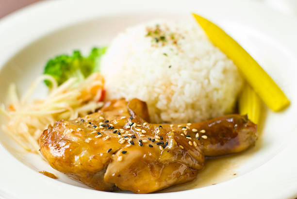 istock Roast chicken and rice in dish 113560094