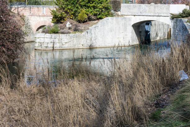 istock river with vegetation on the river bank 1135601871