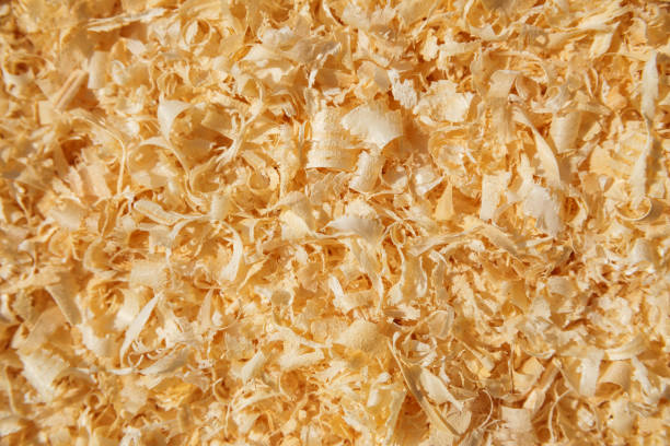 Texture of fresh white sawdust close up. For background.