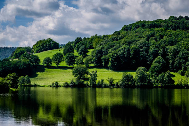 obersee (upper rursee), a reservoir lake between the towns of einruhr and rurberg, districts of simmerath located in the „cities region“ aachen, germany - germany reservoir water tree imagens e fotografias de stock