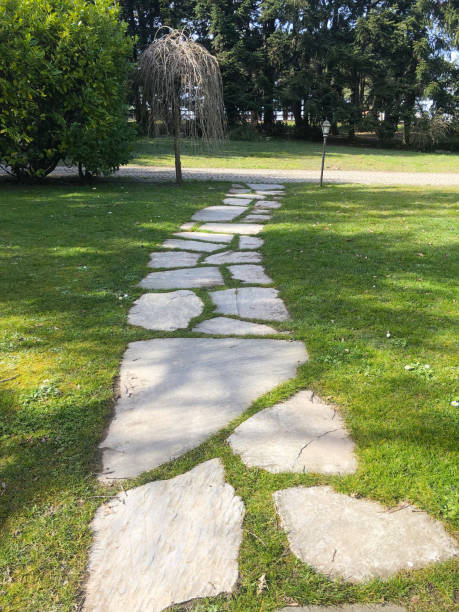 istock Stone footpath and lawn in garden 1135607777