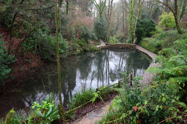 istock Ninesprings park in Yeovil in Somerset 1135608927