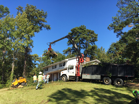COLUMBUS, GA/USA Oct 28, 2015: Landscaper and subcontractors working on a real property improvement project by removing trees close to the residential home before a new roof can be installed.