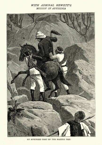 아비 시 니 아의 왕 존에 윌리엄 휴 쳇 경의 대사관 - animal africa ethiopia mule stock illustrations