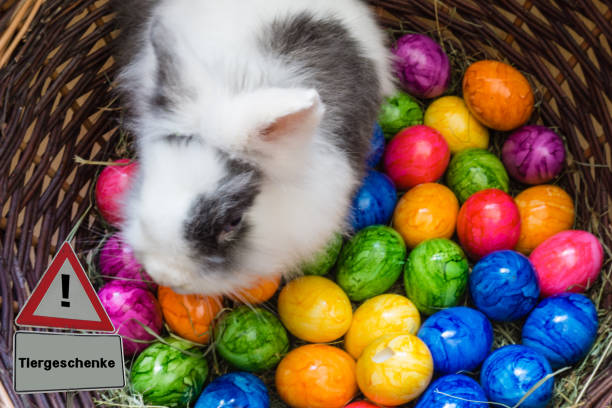 istock Caution Sign Pets as Presents german 
