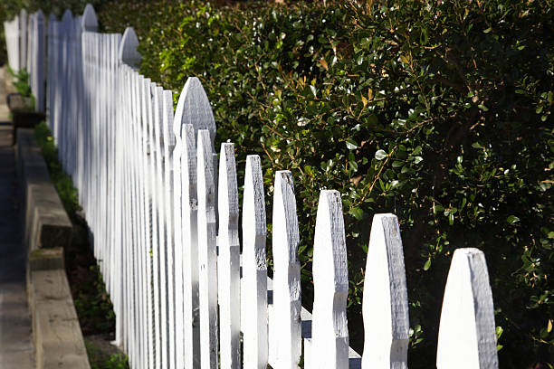 istock Dimishing White picket fence 113561182