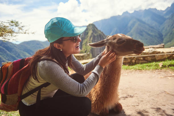 istock Woman playing with lama 1135611945