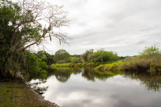istock Scenic view of a river, clouds, and lush tropical foliage 1135612126