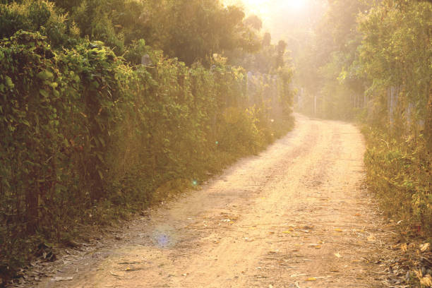 Rural gravel country road with sunlight in the morning at the countryside of Thailand.