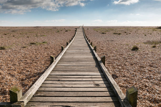 istock Wooden pathway on the stone beach 1135613077