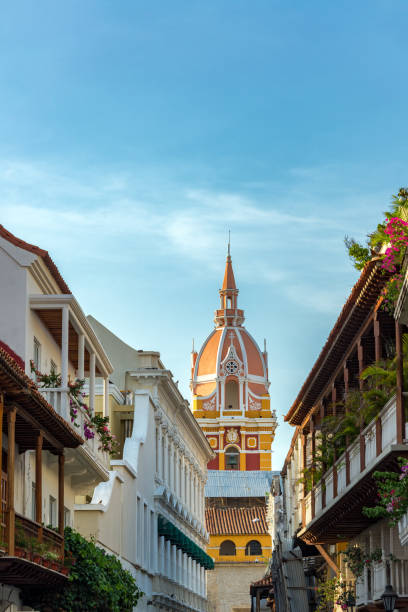 istock Vertical Cartagena Cathedral 1135613158