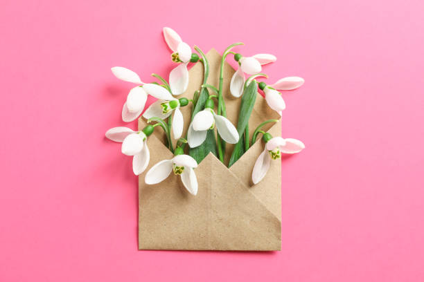 istock Envelope with snowdrop flowers on color background, space for text 1135617757