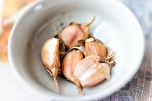 Closeup of unpeeled fresh pink or orange garlic cloves in bowl kitchen for cooking macro showing detail and texture of brown color