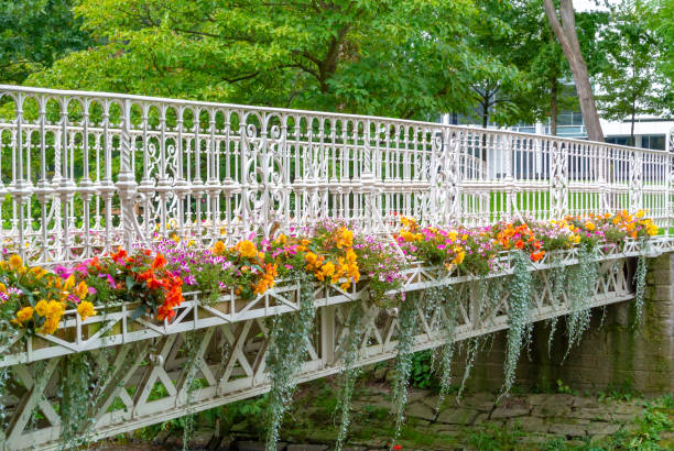 un ponte nel bellissimo parco nel cuore di baden-baden, germania - baden baden green street fountain foto e immagini stock