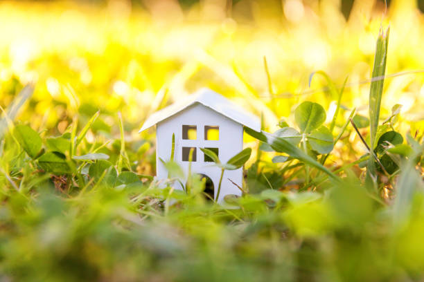 istock Toy House in meadow with grass 1135620905