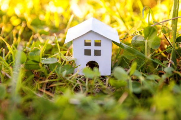 istock Toy House in meadow with grass 1135620914