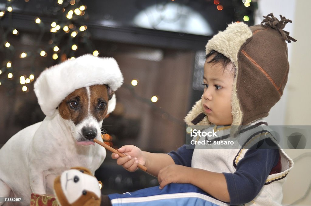 Menino e seu cachorro - Foto de stock de Criança royalty-free