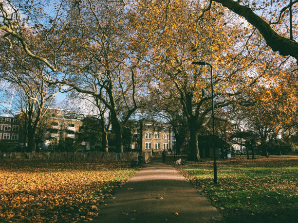 istock London parks during autumn (toned image, taken on mobile phone) 1135623726