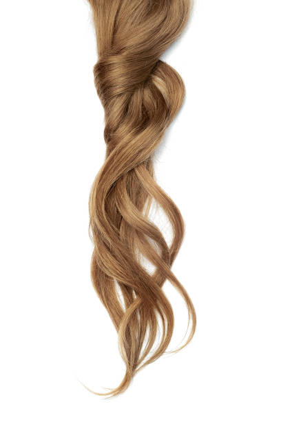 istock Brown hair isolated on white background. Long beautiful ponytail 1135627610
