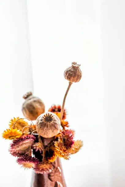Dry flowers arrangement of gerbera daisies brown vintage yellow red colors by house window with retro sunlight