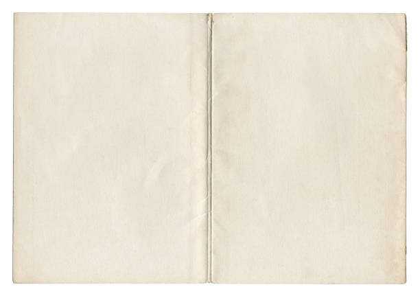 Old blank book with ivy, isolated on white with clipping path.