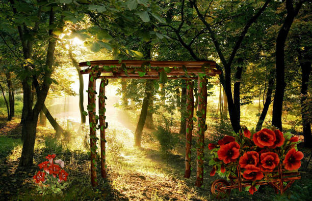 Photo of 3d illustration fantasy graphic background of forest with wood structure in between