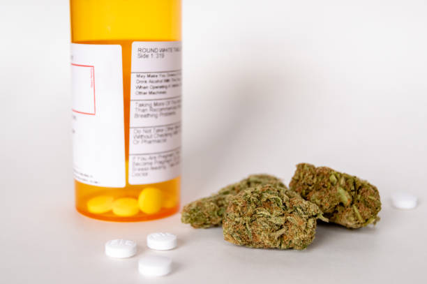 Cannabis marijuana flowers and prescription pain pills opioid narcotic. Alternative medicine. stock photo