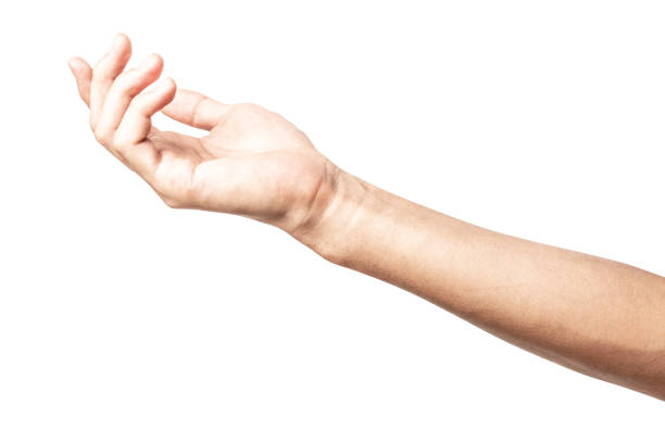 istock Hand open and ready to help or receive. Gesture isolated on white background with clipping path. 1135649459