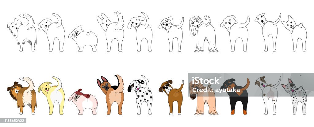 Set of funny large dogs showing their butts Dog stock vector