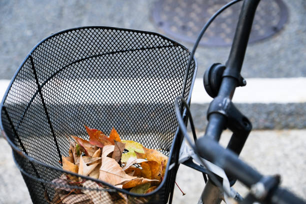 las hojas secas del otoño caen dentro de una cesta de la bicicleta en la estación del otoño en fondo del desenfoque de camino. - japanese maple autumn leaf tree fotografías e imágenes de stock