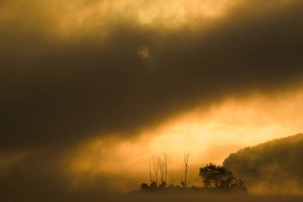istock Sunrise over riverside VD702 1135655709