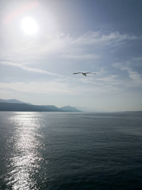 tranquility in the adriatic sea