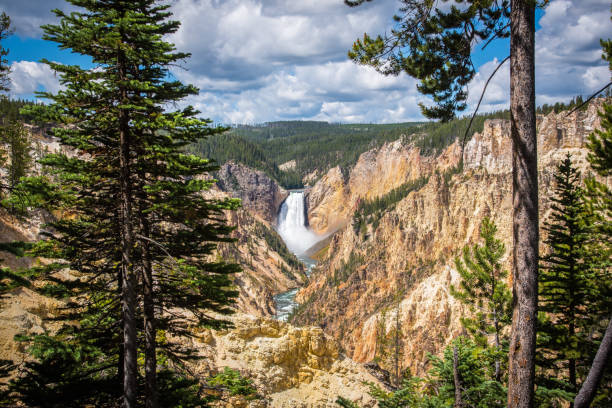 istock Lower falls in Yellowstone canyon 1135665347