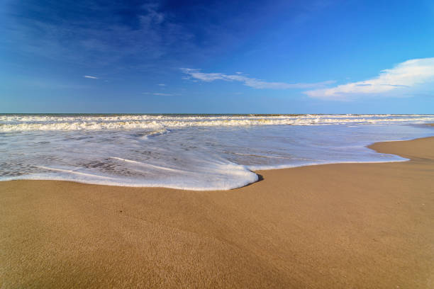 istock Beaches of Venezuela 1135665446