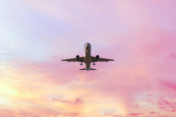 2,310 Plane Purple Sky Stock Photos, Pictures & Royalty-Free Images - iStock