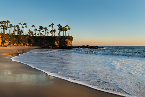 Shore with palm trees, rocks, blue sky and ocean in sunset time. Soft sunlight falling on beach. Beautiful landscape in Laguna Beach, California, USA.
