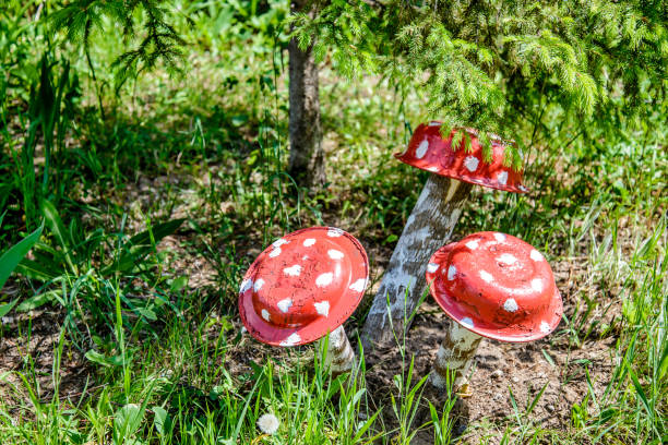 istock Decoration with artificial mushrooms in green grass 1135676768