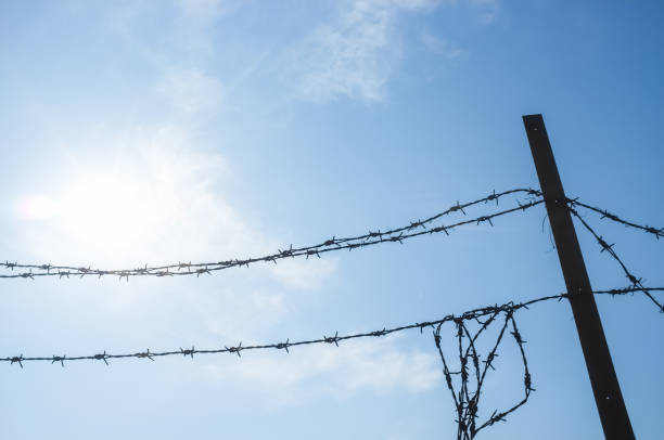 istock Barbed wire against the blue sky 1135677461