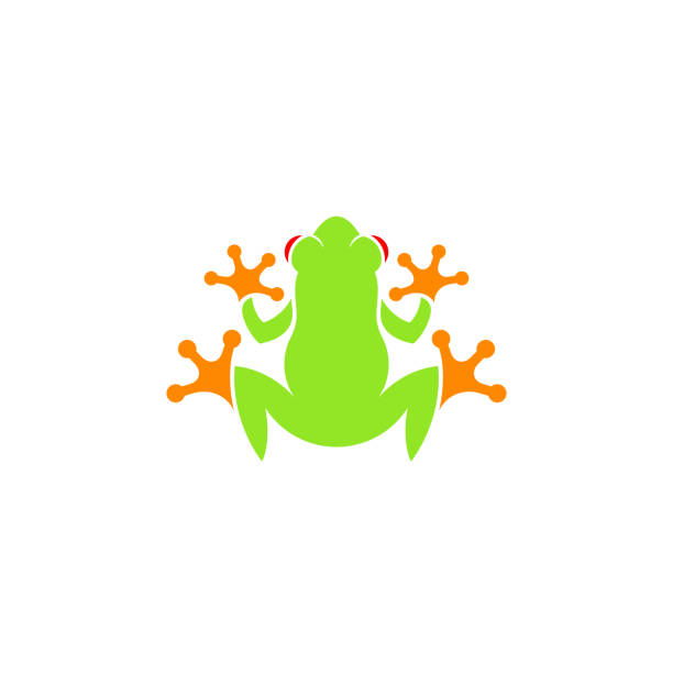 130+ Fishing Frog Stock Illustrations, Royalty-Free Vector Graphics